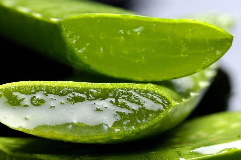 Aloe vera Naravna odvajala za blato